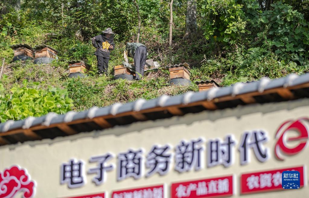 捕鱼娱乐网址是多少