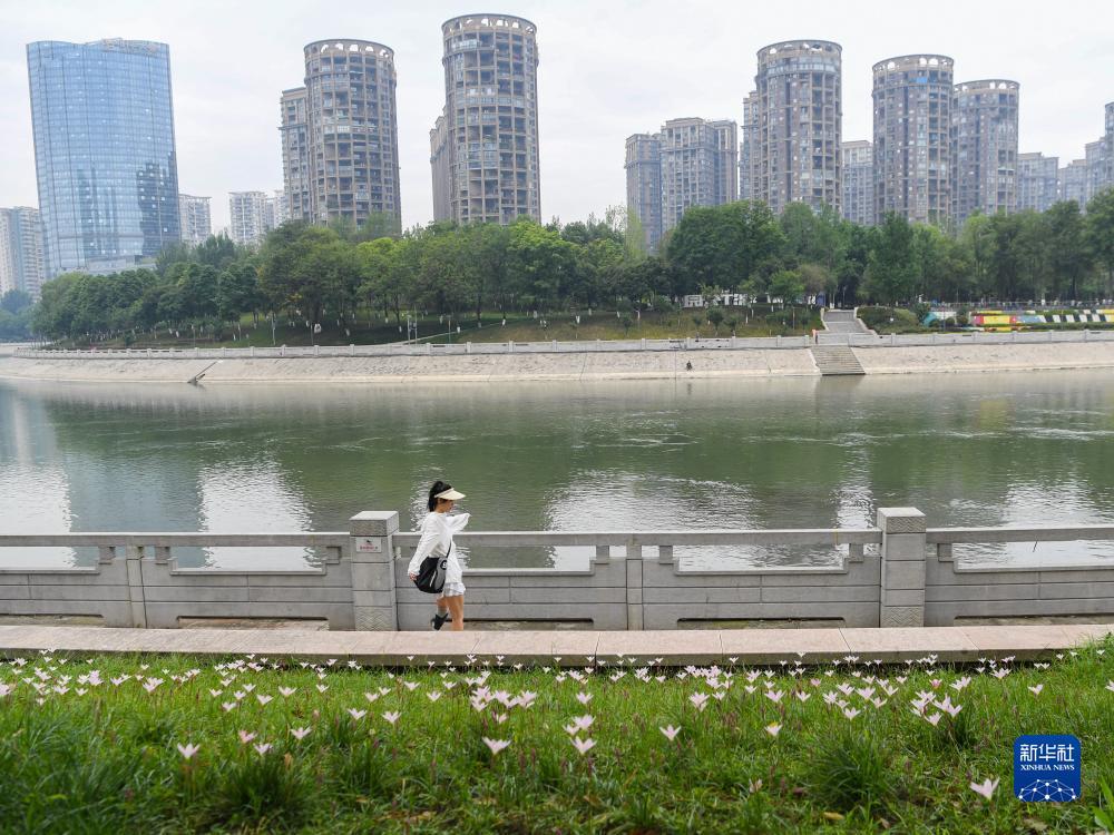 2025免费送彩金